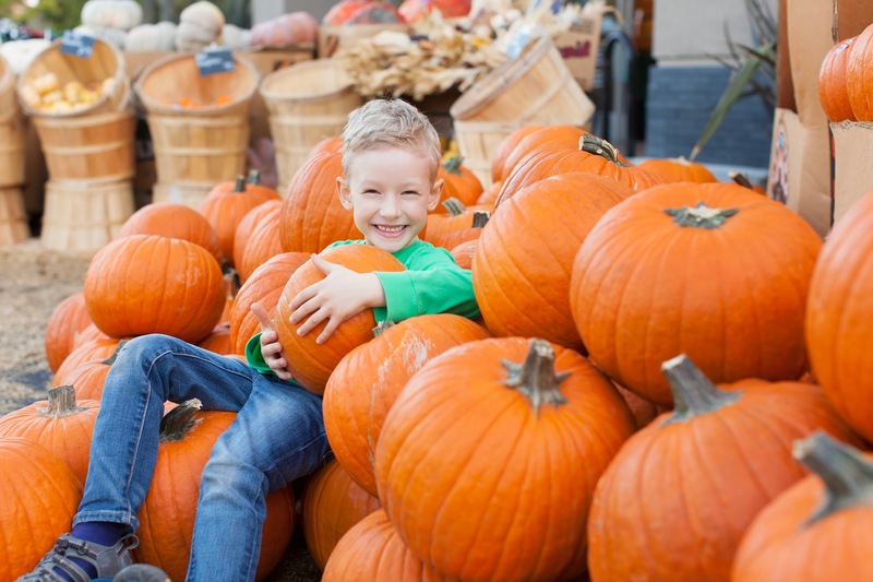 Fall Festivals Abound in and Near Ormond Beach